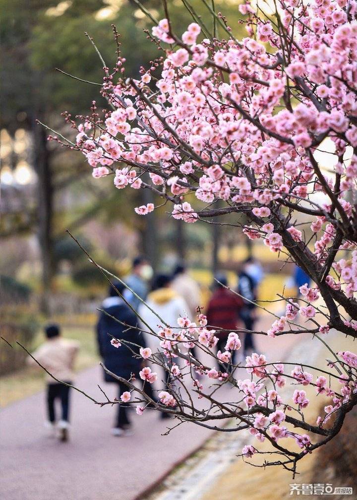 腾博会app_手机版下载
网-腾博会app新闻门户 传播品质资讯